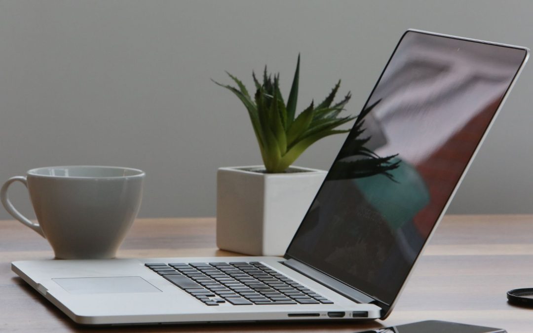 Les Secrets Inavouables des Start-up : Les Échecs Derrière les Success Stories